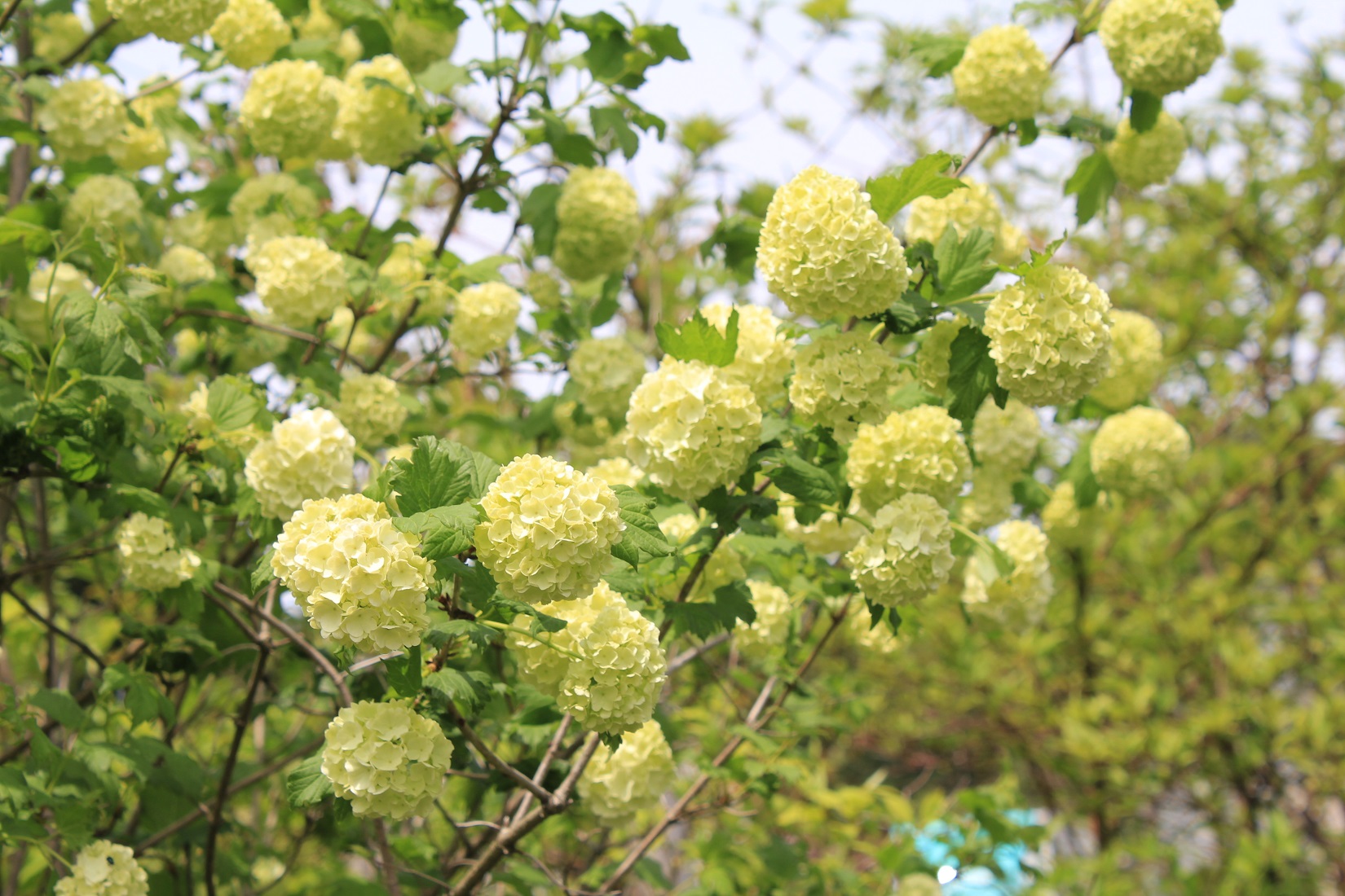 分野別詳細ページ